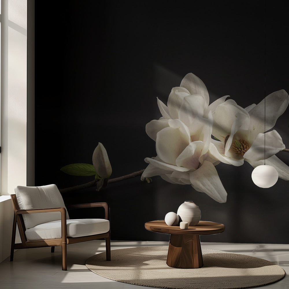 Magnolia | Fototapeter