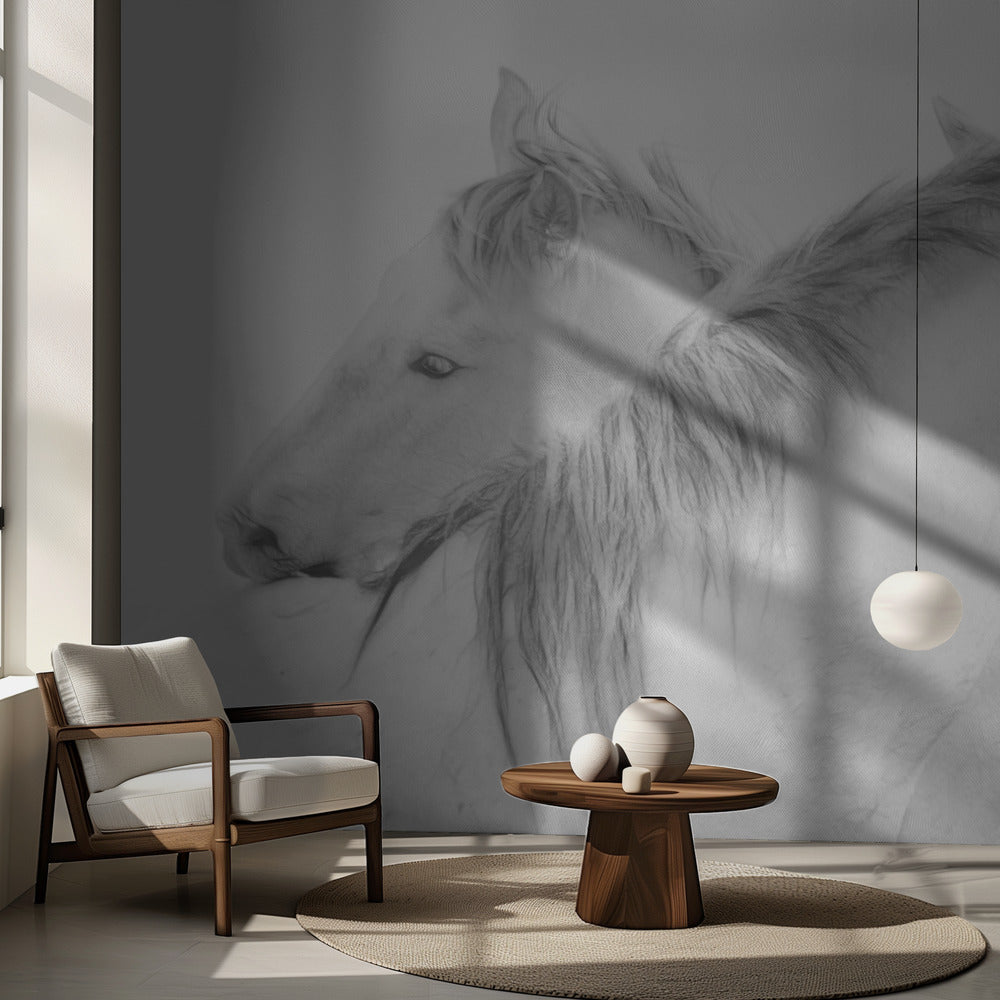 Chevaux | Papier Peint Photo