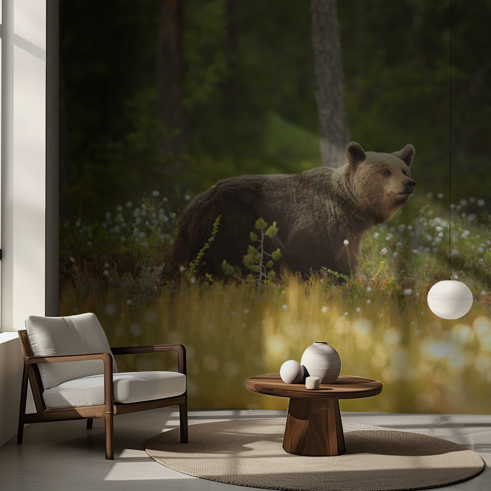 Brown Bear | Wallpaper