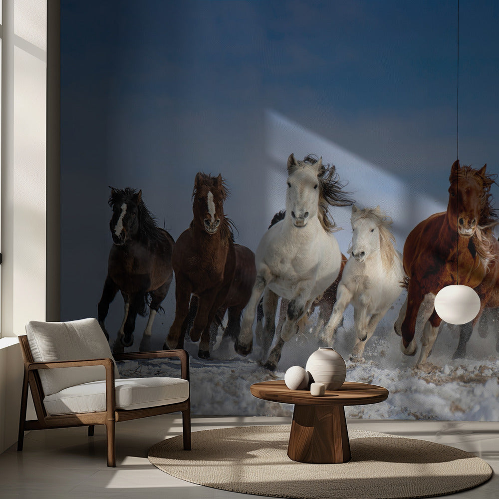 Caballos de Mongolia | Papel Pintado Fotográfico