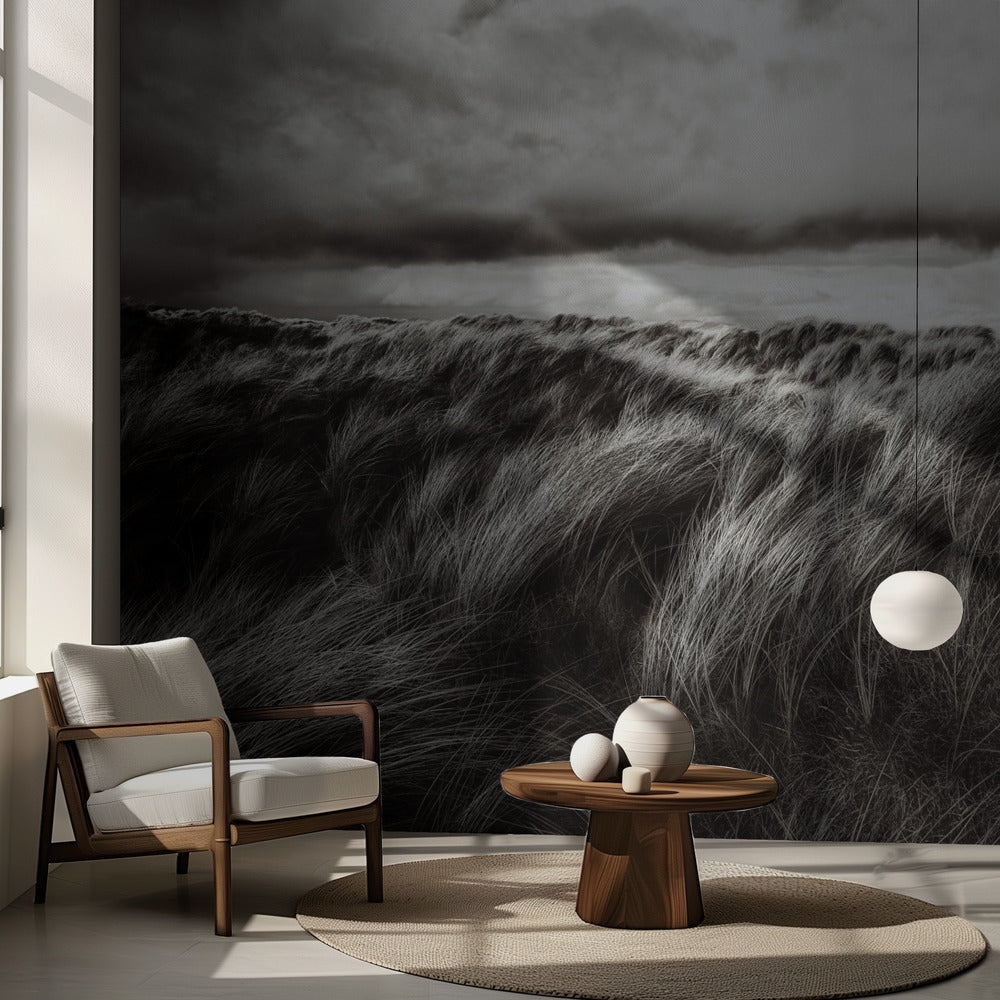 Dunes d'herbe | Papier Peint Photo
