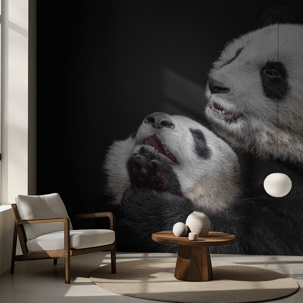 Pandas | Wallpaper