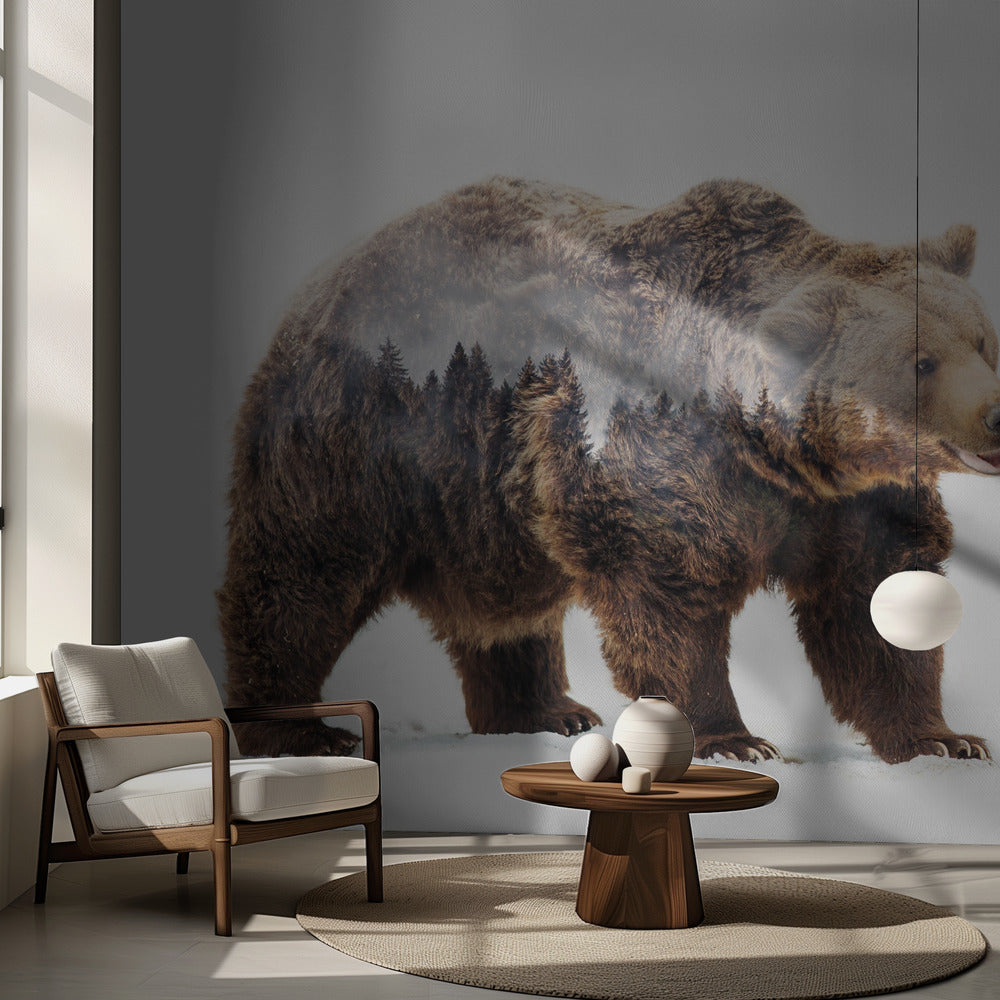 Oso Papel Pintado Fotográfico