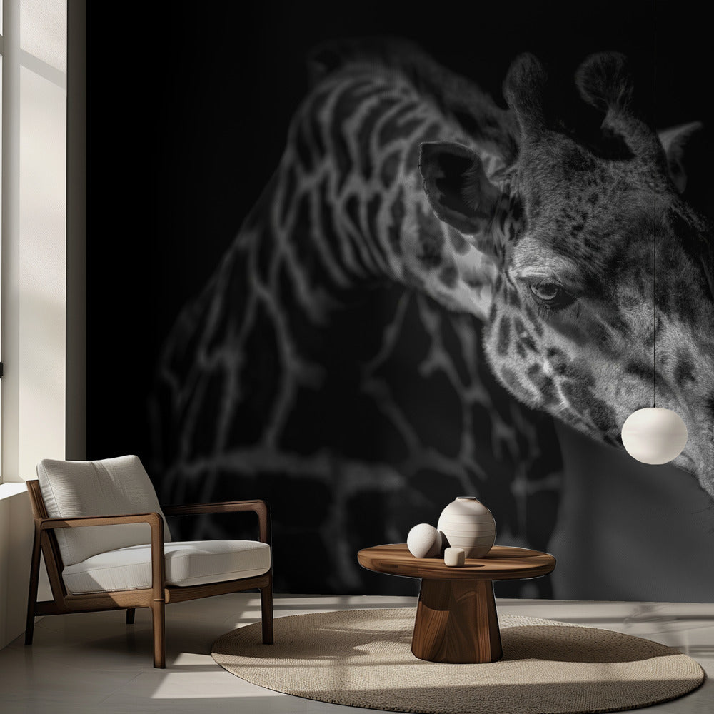 Giraff | Fototapet