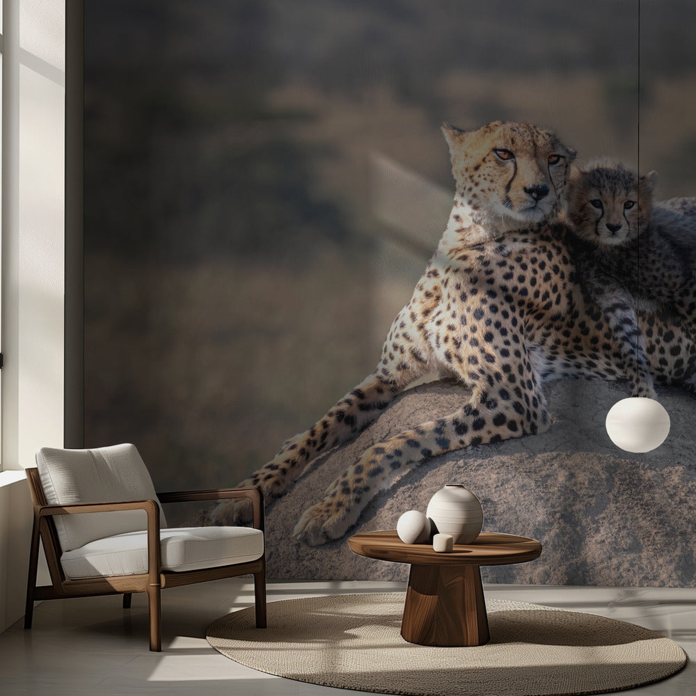 Gepard und Tasse! | Fototapeten