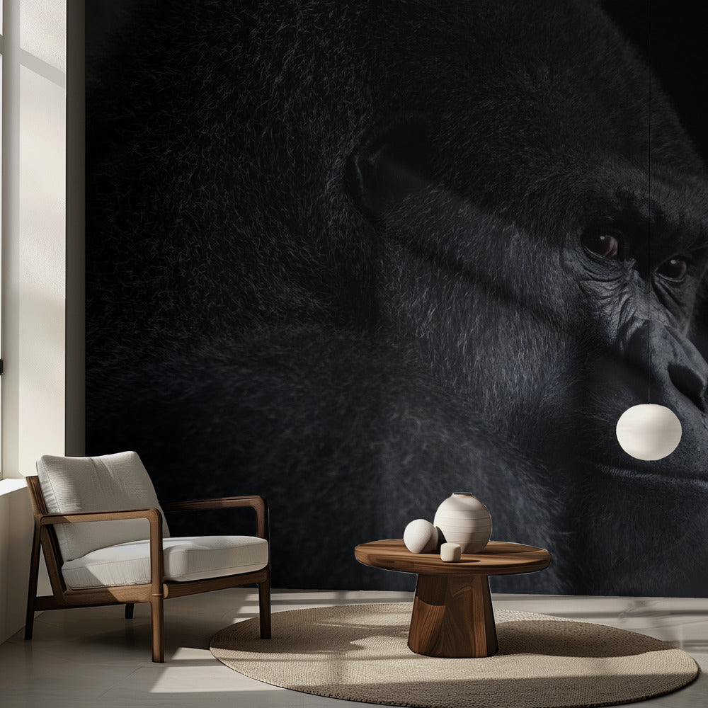 Gorillablick | Fototapeten