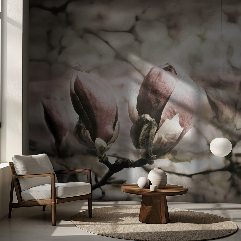 Magnolia printemps | Papier Peint Photo