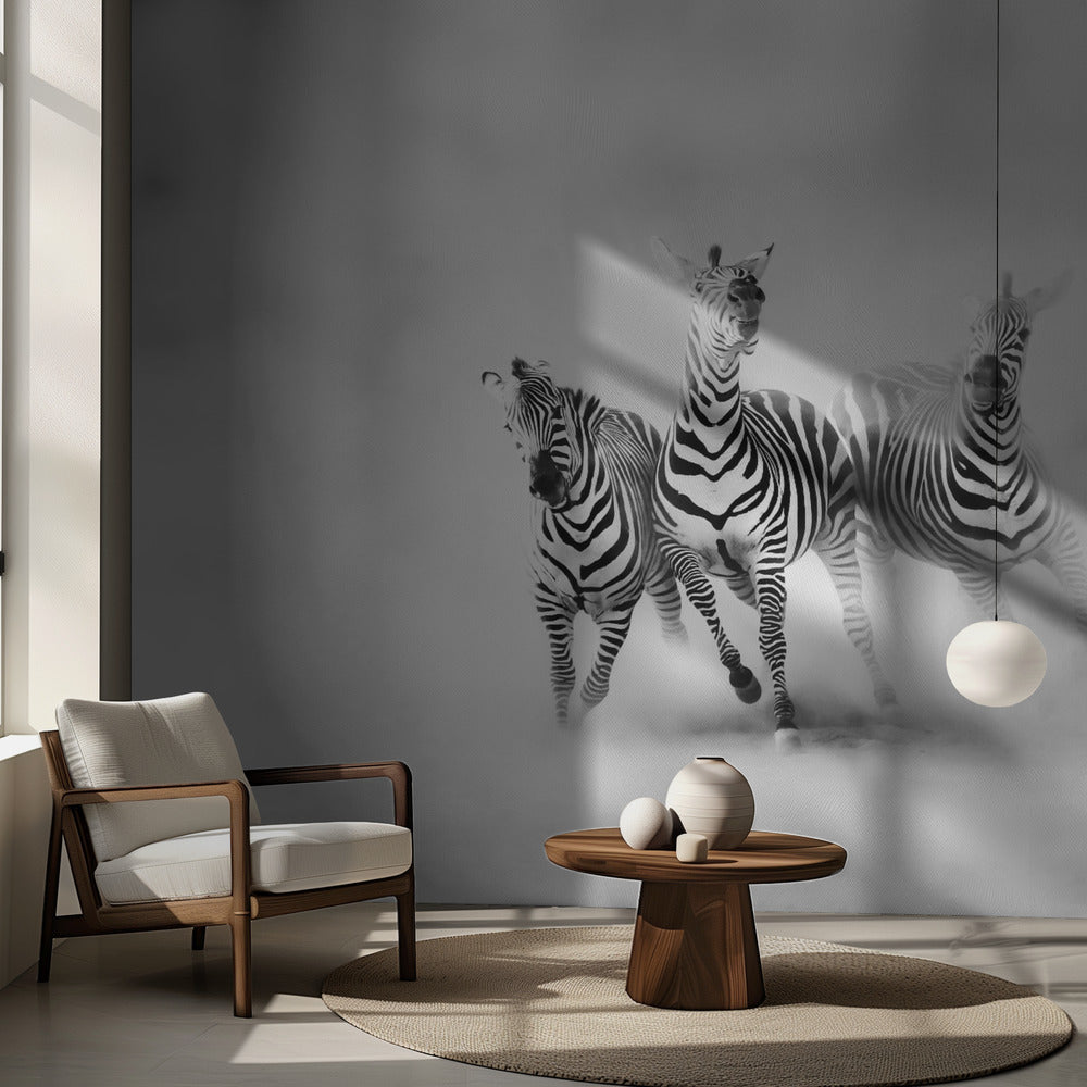 ZEBRAS | Wallpaper