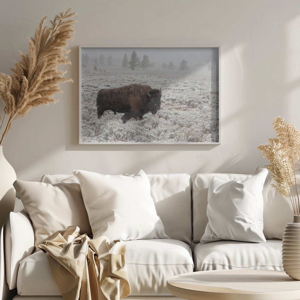 Yellowstone a finales de otoño | Posters - Impresiones de Arte