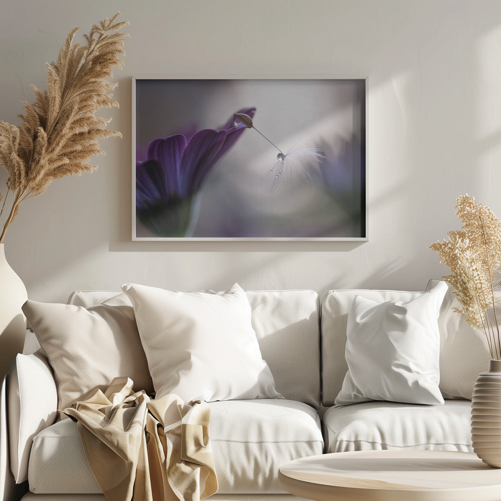 Lila Regen | Poster - Kunstdruck