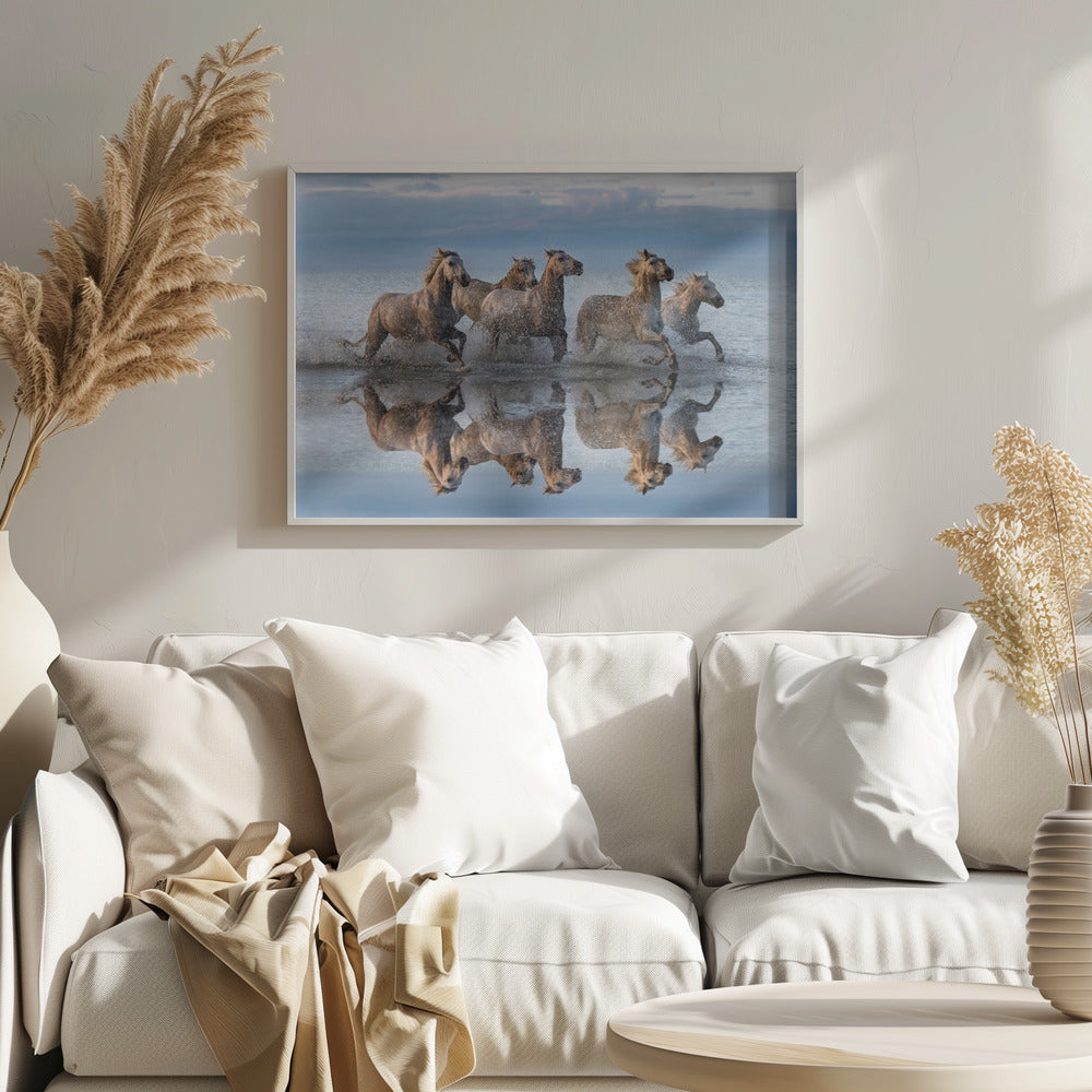 Cavalli e riflessione | Poster - Stampe d’Arte