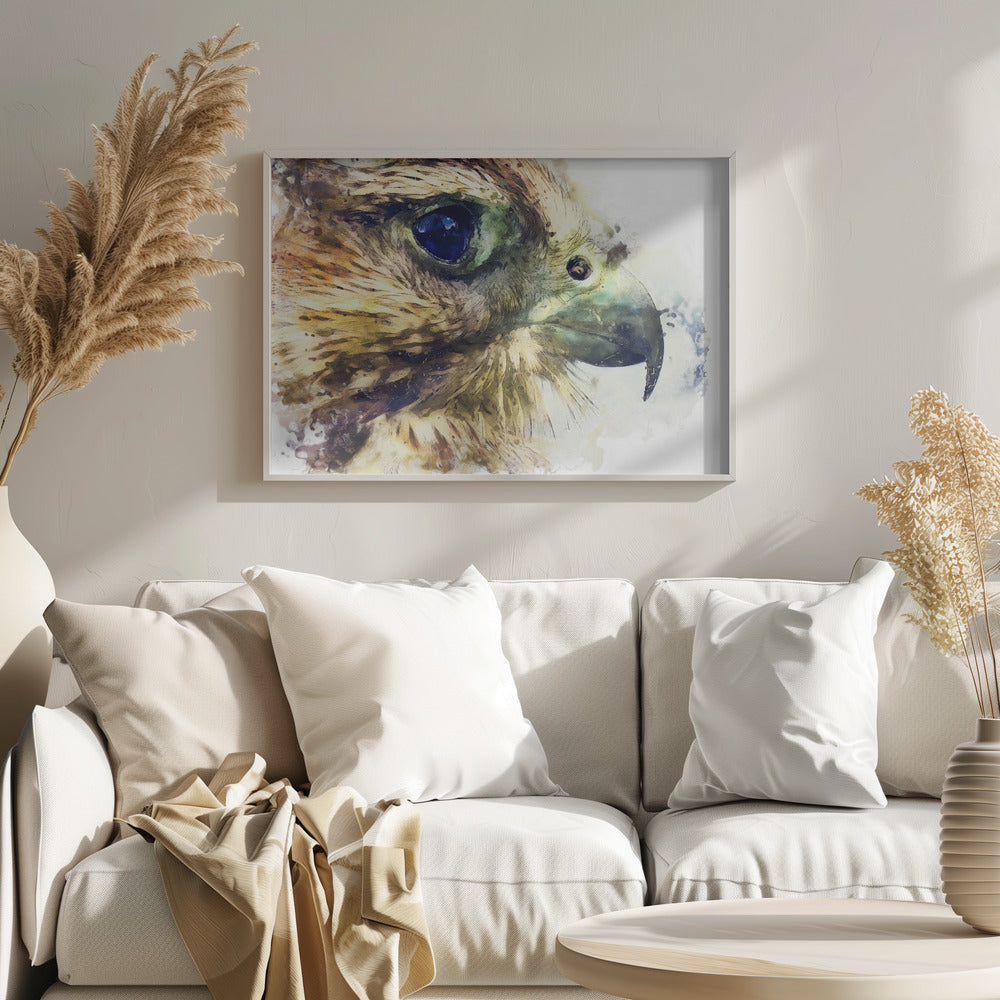 Animal Bird Kestrel Watercolor Animal Art | Poster
