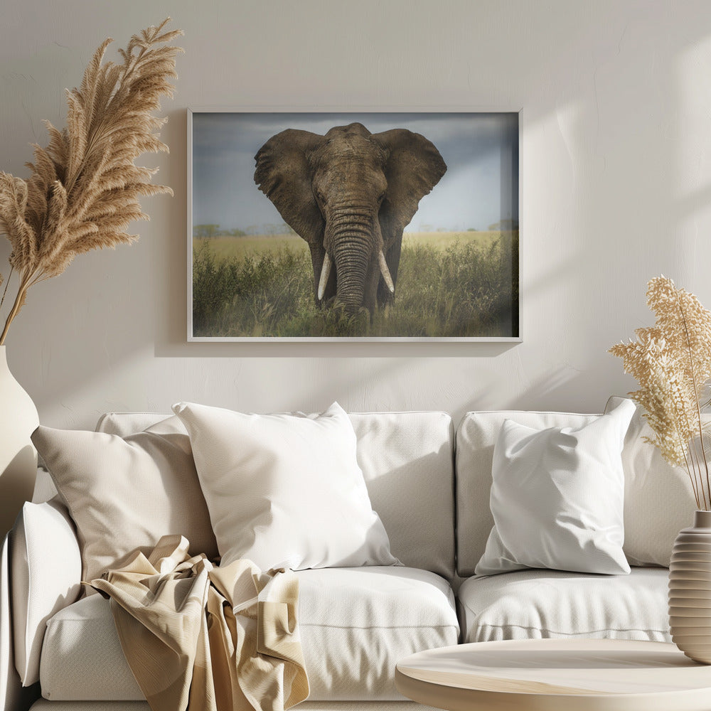 Encuentros en el Serengeti | Posters - Impresiones de Arte