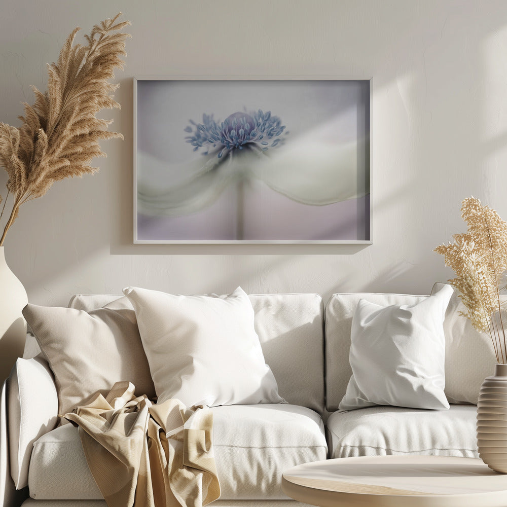 Anemone | Poster - Kunstdruck
