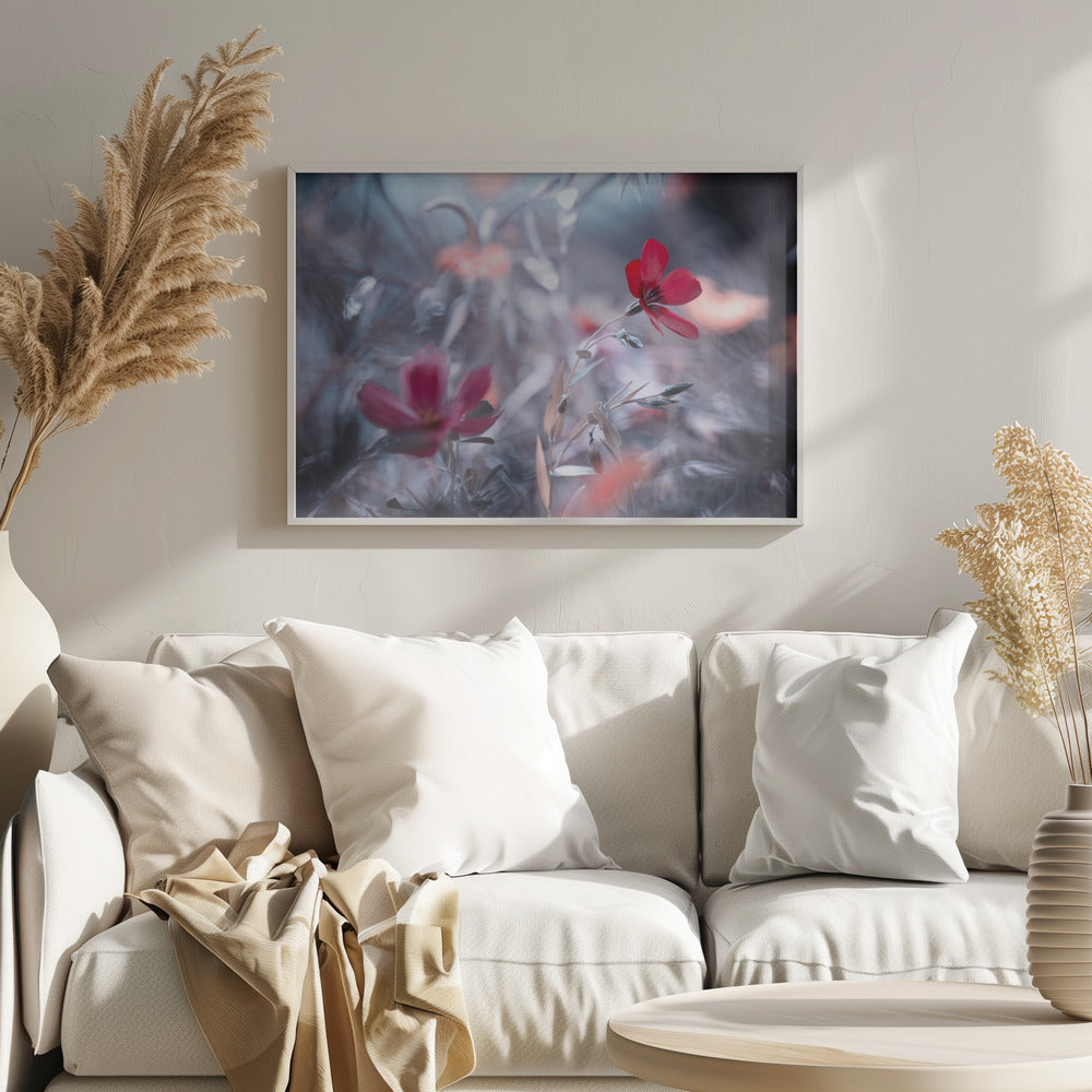 En blomst, en historie | Plakater - Kunsttryk