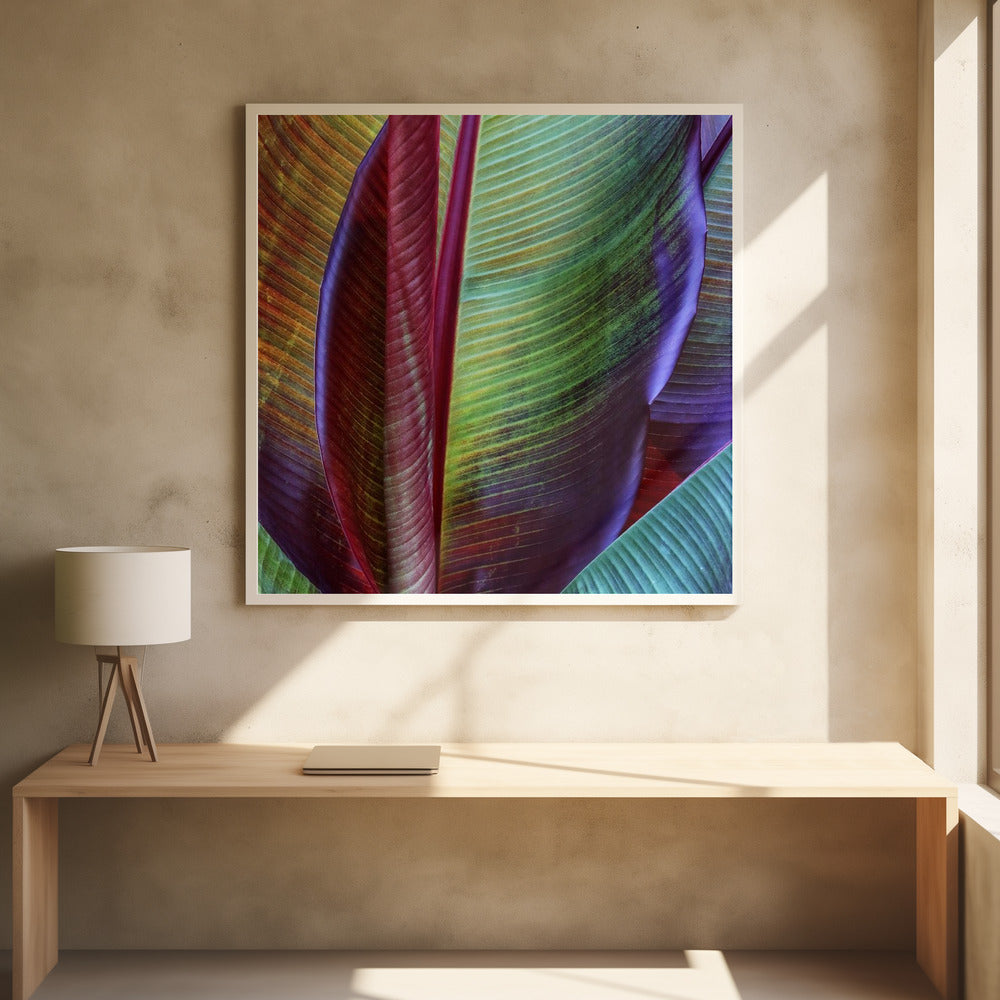Banana skin | Poster