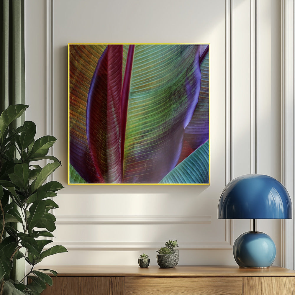 Banana skin | Poster