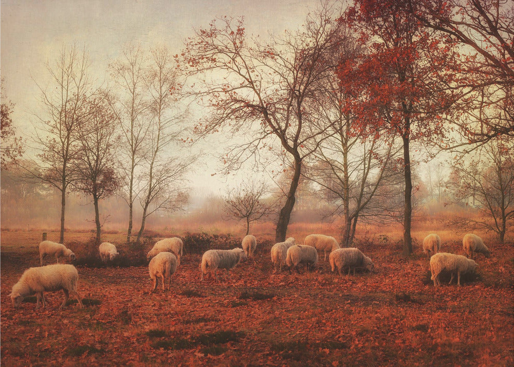 Derniers jours de l'automne | Papier Peint Photo