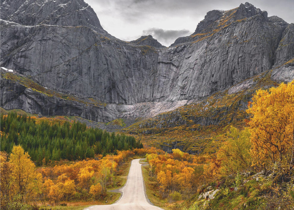 Vejen til muren | Fototapeter