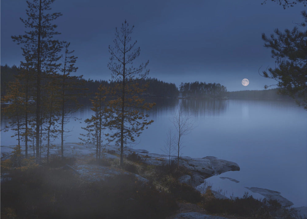 Nachtnebel | Fototapeten