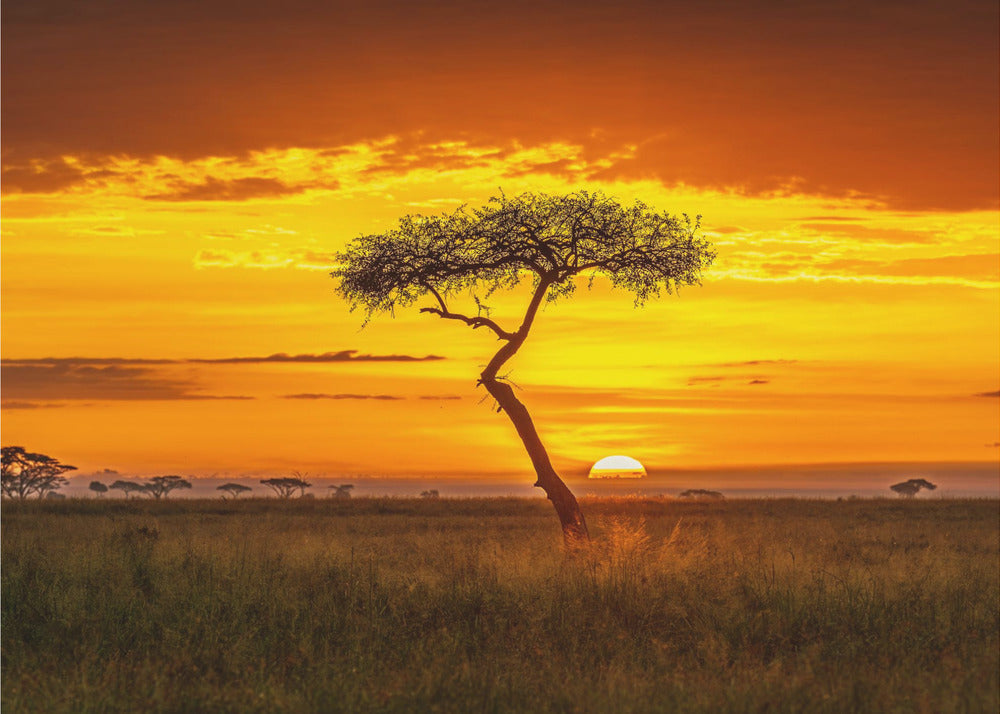 Africa primordiale | Carta da Parati Fotografica