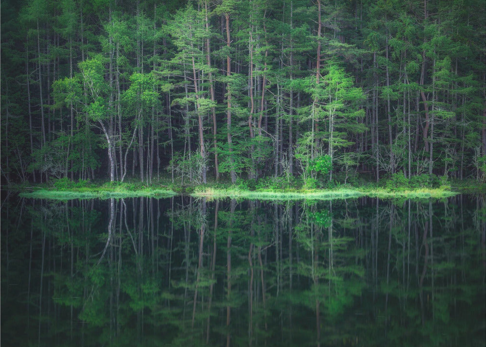Monde vert | Papier Peint Photo