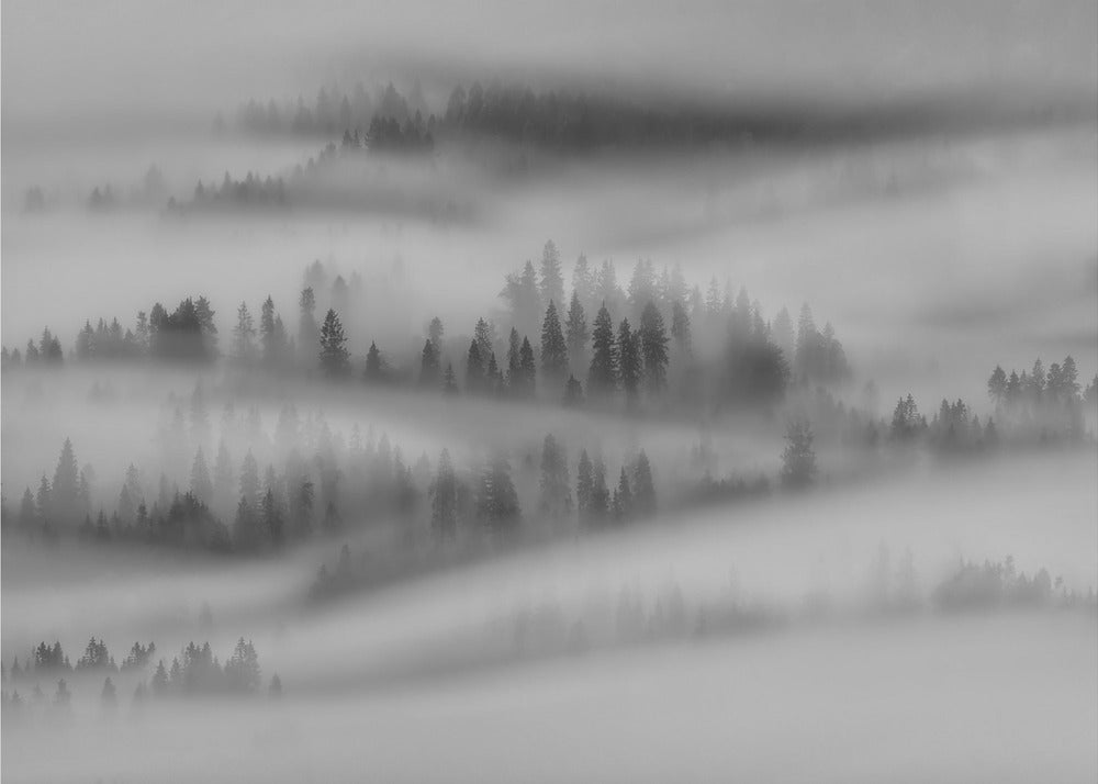 Syksyn vaikutelmia | Valokuvatapetit