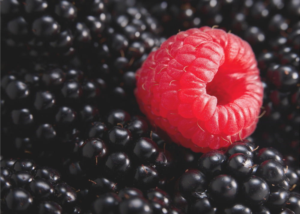 Berry different | Poster