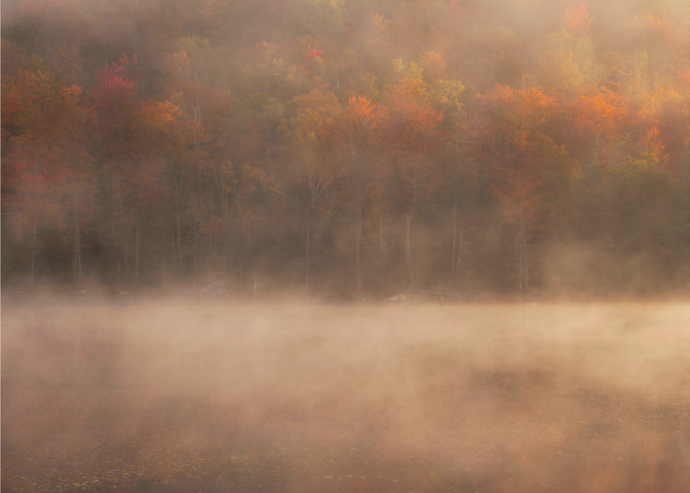 Pic de l'automne | Papier Peint Photo