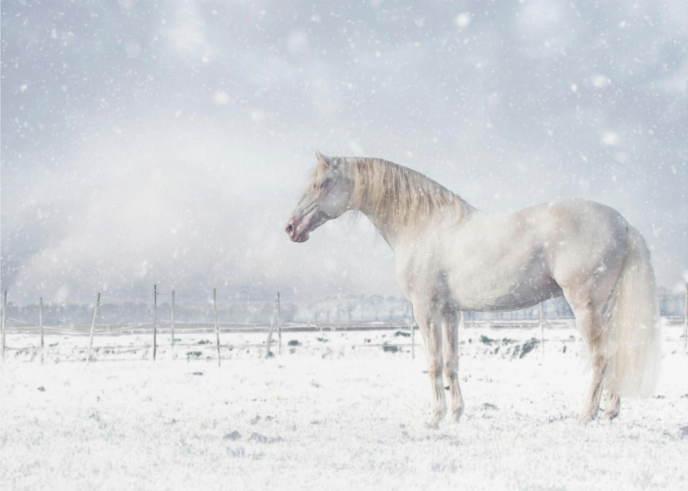 Lascia che nevichi... | Carta da Parati Fotografica