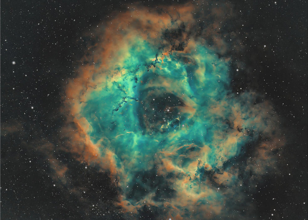 La Rosette | Papier Peint Photo