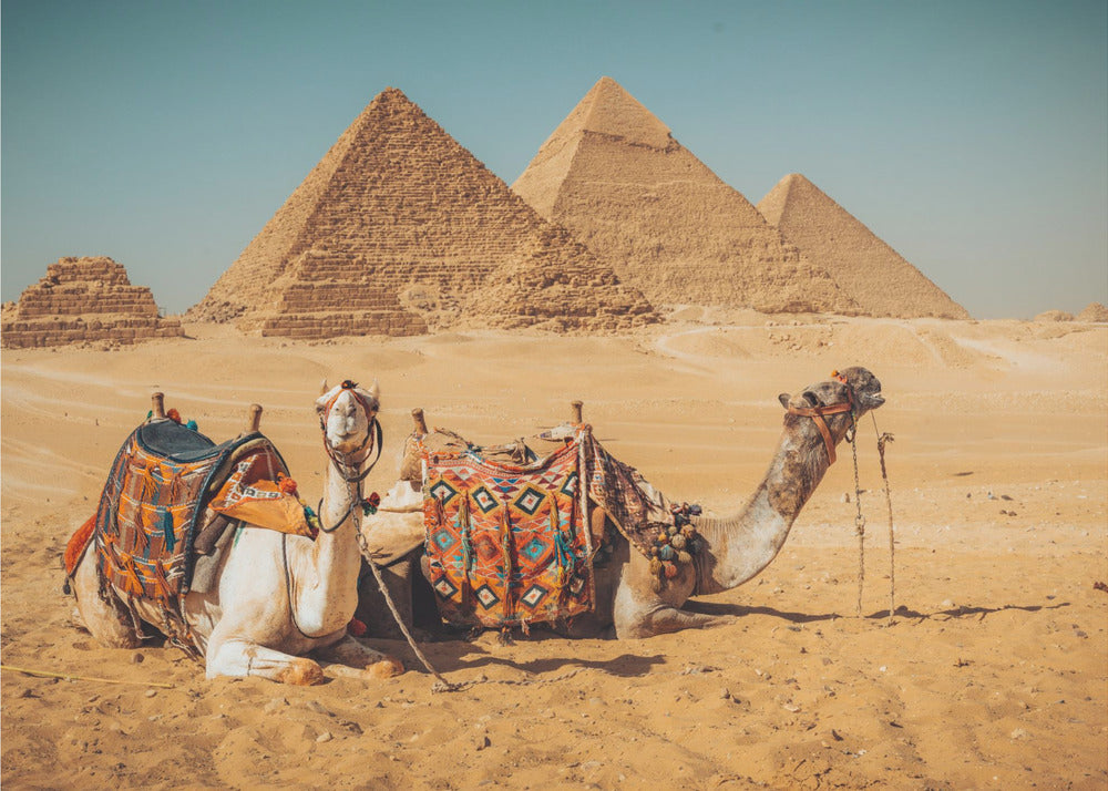 Besøg til pyramiderne | Lærredsbilleder