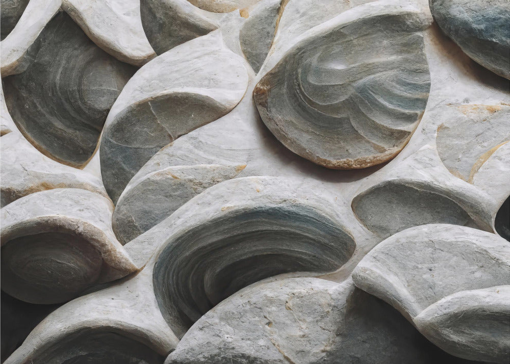 Muscheldetail Nr. 5 | Fototapeten