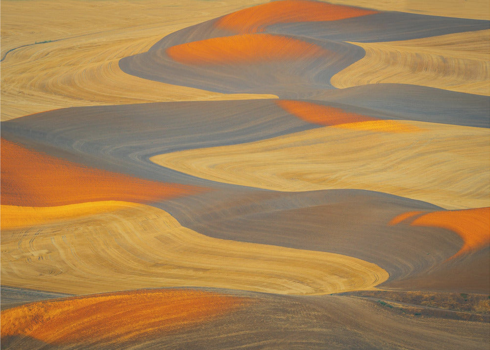 Terra dipinta | Stampe su Tela