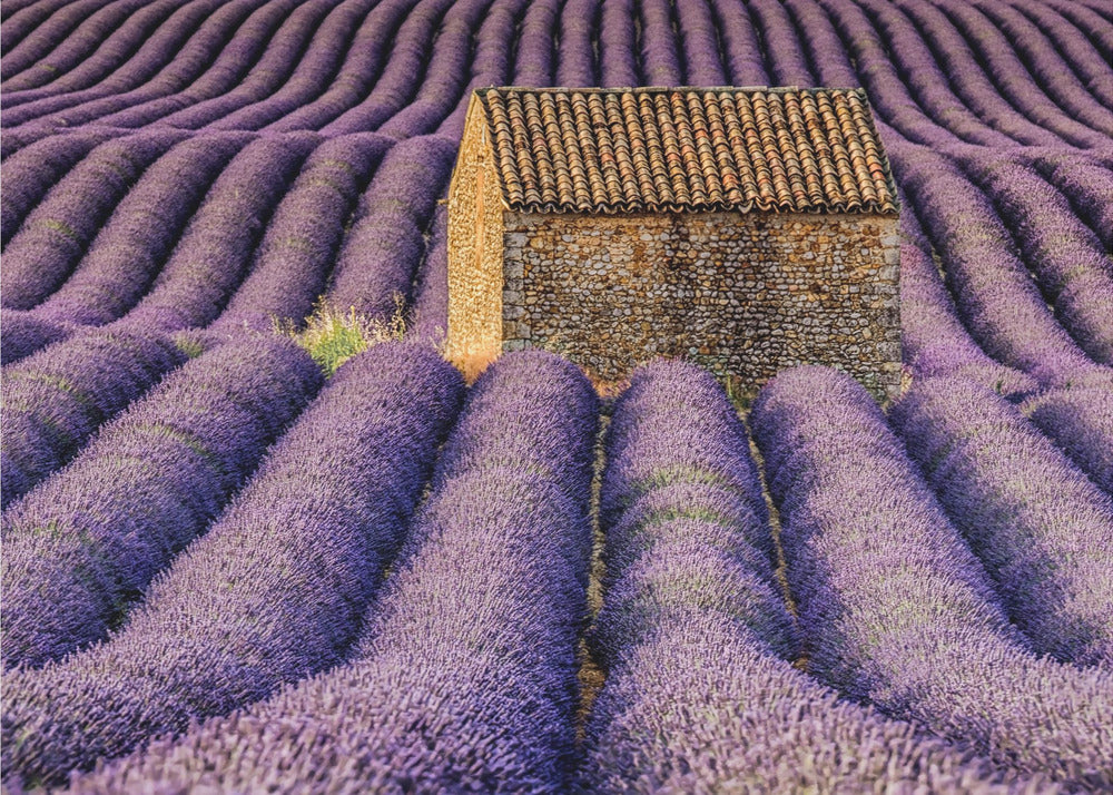 La baracca | Carta da Parati Fotografica