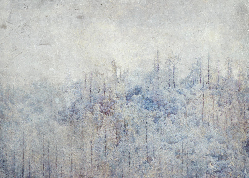 Wysoka Sierra III | Wydruki na łótnie