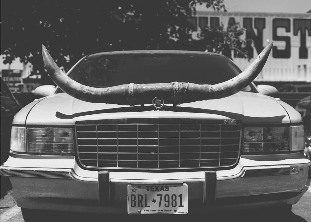 Paseo por Texas | Impresiones en Lienzo