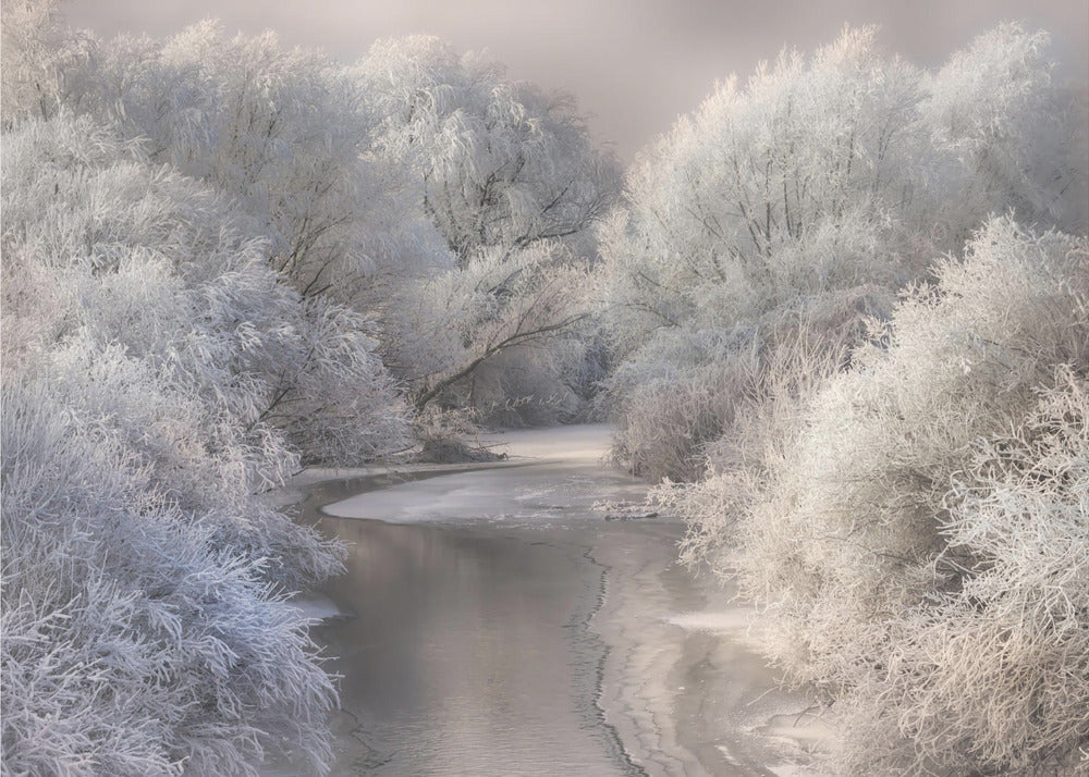 Canción de invierno | Papel Pintado Fotográfico