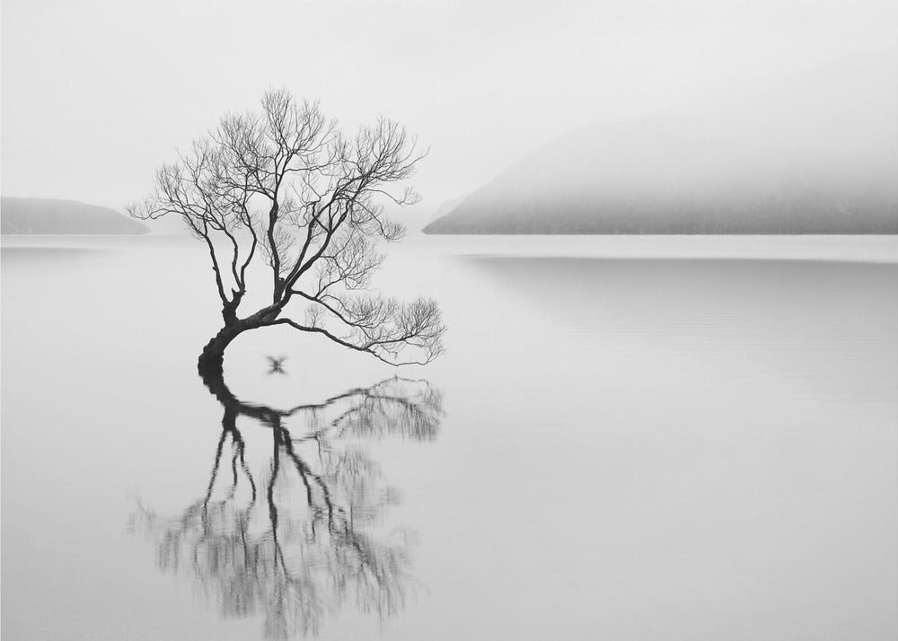 Serenità | Carta da Parati Fotografica