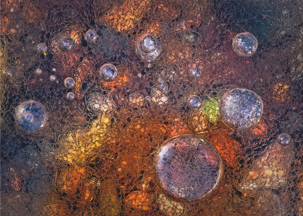 Invierno sobre otoño | Papel Pintado Fotográfico