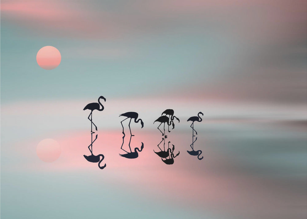 Flamencos en familia. Posters - Impresiones de Arte