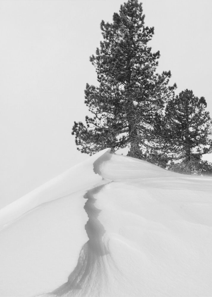 Sobre la nieve y las formas | Impresiones en Lienzo