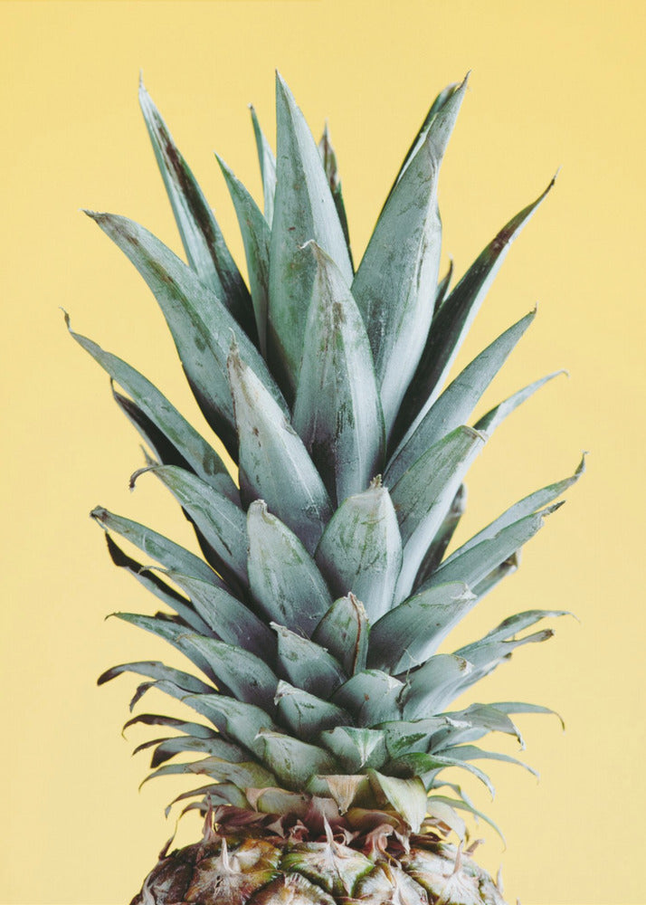 Ananas Keltainen 03 | Julisteet - Taidevedokset