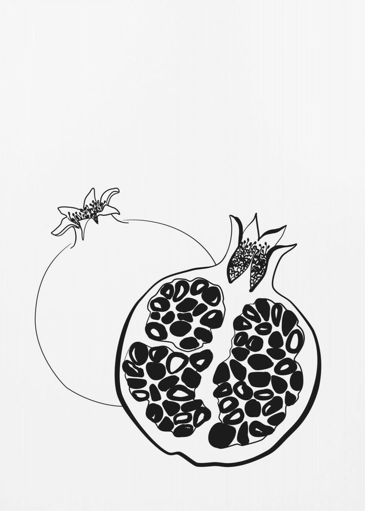 Line art pomegranates | Poster