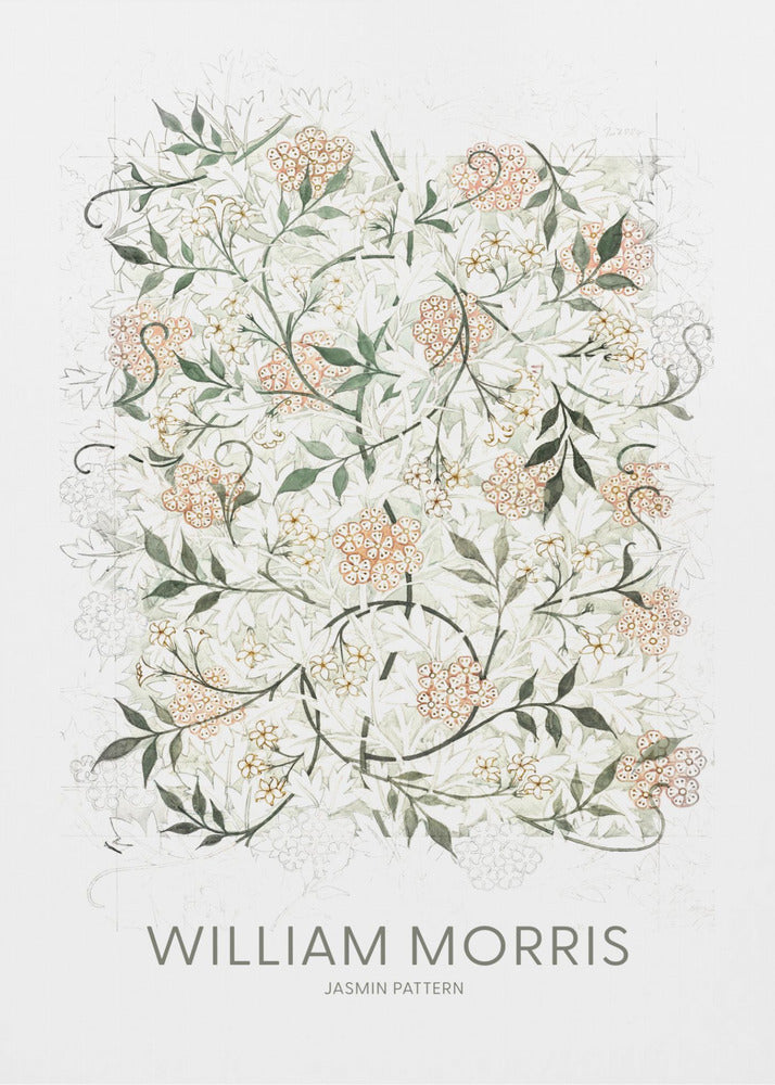 Jasmine | Canvas