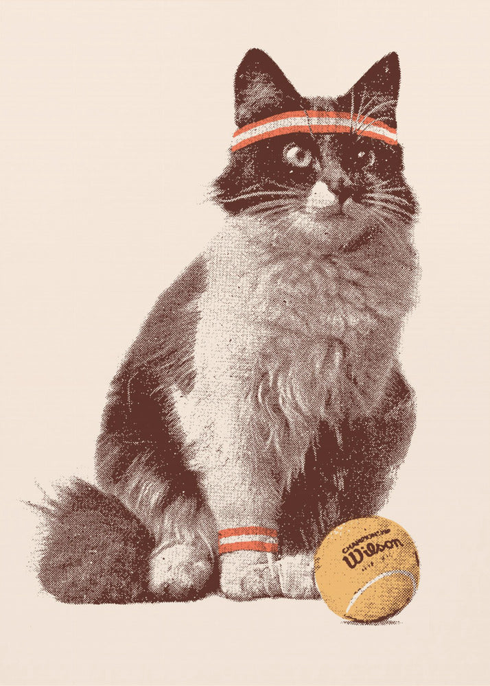 Gato tenista | Impresiones en Lienzo