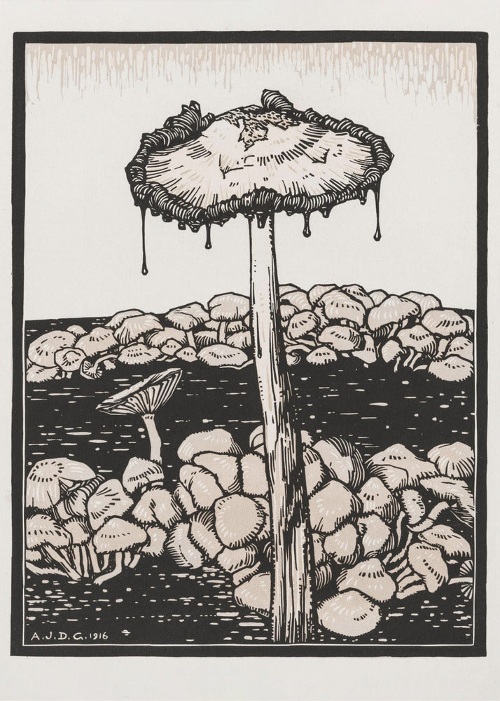 Droppande svamp 1916 | Canvas