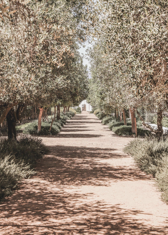Giardino segreto | Stampe su Tela