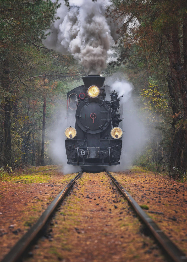 Durch den Herbstwald | Leinwand-Bilder