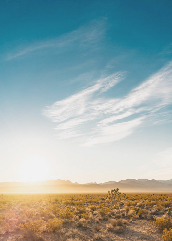 Alba nel deserto del Nevada | Stampe su Tela